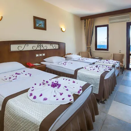 Club Phellos מלון